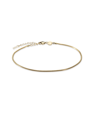 Анклет Змейка Линк 22-27 см