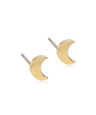 Пусеты Луна